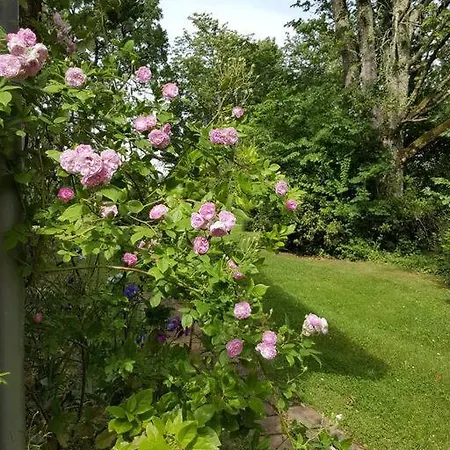 Classe Quatre Etoiles Dans Les Dependances Du Chateau De Manau * Beaumont-de-Lomagne